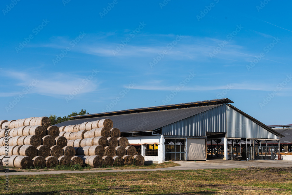 panorama of a large farm with machines and bales of hay