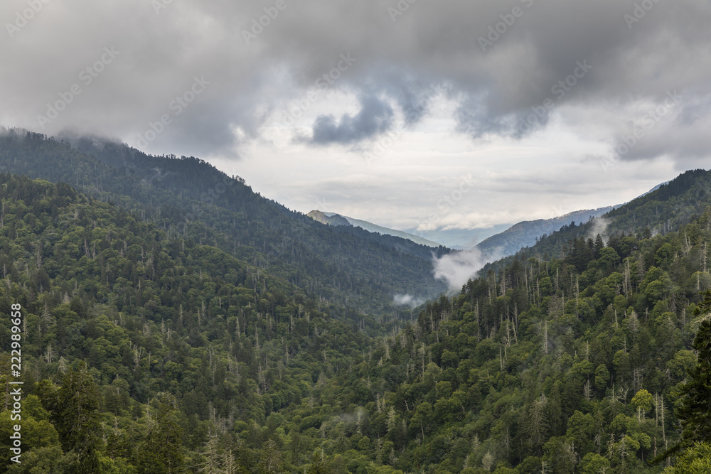 Smoky Mountains Scenic Landscape 