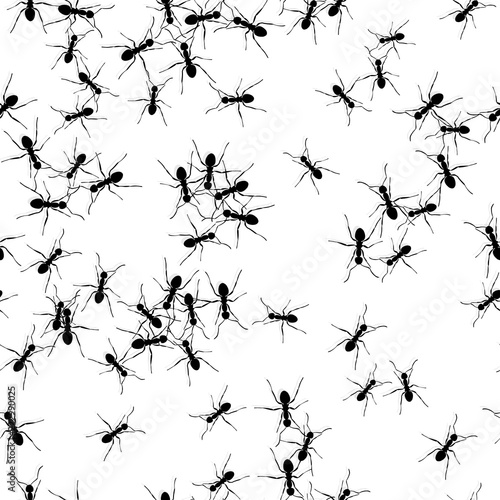 Random Ant Seamless Pattern Representing Teamwork. Black and White