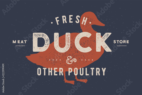 Duck meat. Vintage logo, retro print, art icon, poster for Butchery meat shop with text, typography duck, poultry, meat shop, duck silhouette. Butchery logo, meat label template. Vector Illustration