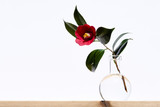 Camellia Red flower. Vase for one flower.