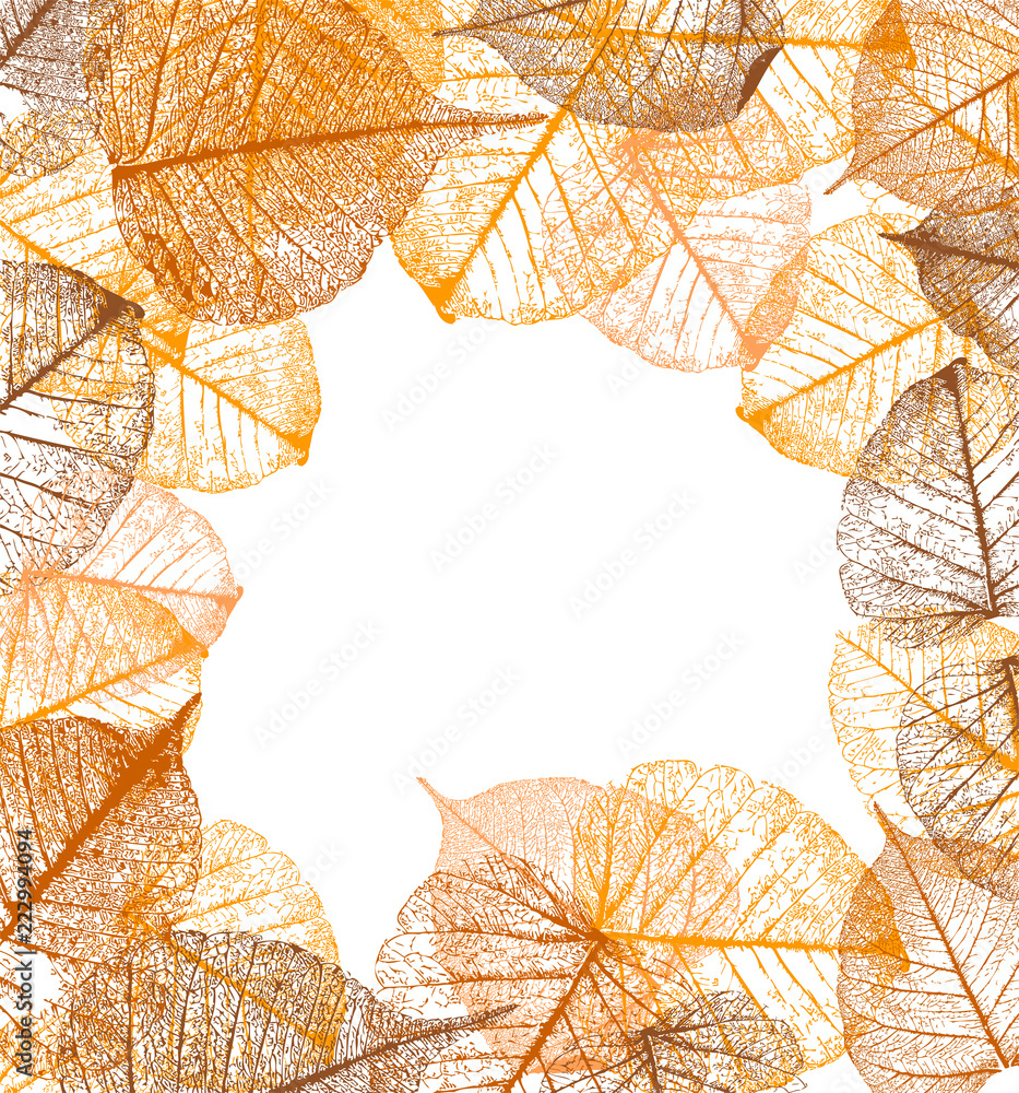 Frame of vector autumn leaves