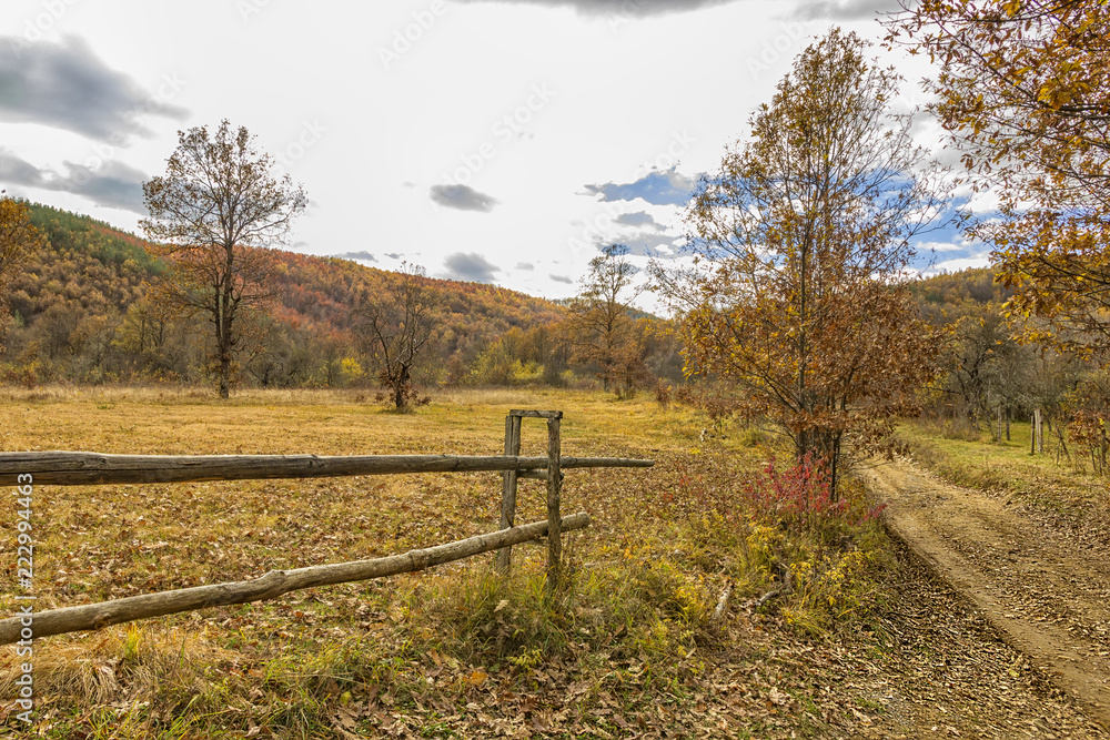 the rural autumn landscape with country road and wooden fence