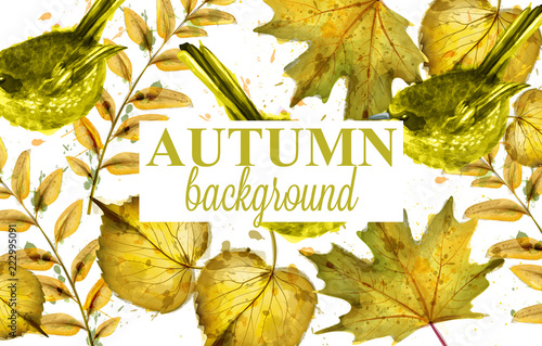 Autumn leaves Vector decor background. Fall banner template. Yellow colors