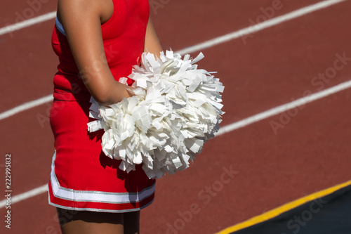 Cheerleader with Pom Poms on sideline of football game  photo