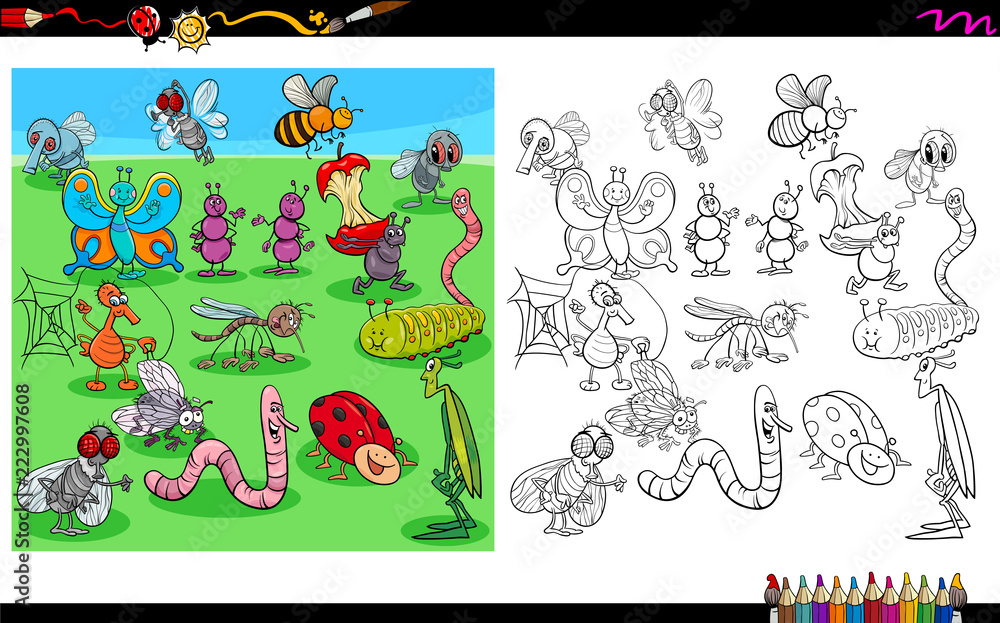 Fototapeta premium insects animal characters coloring book