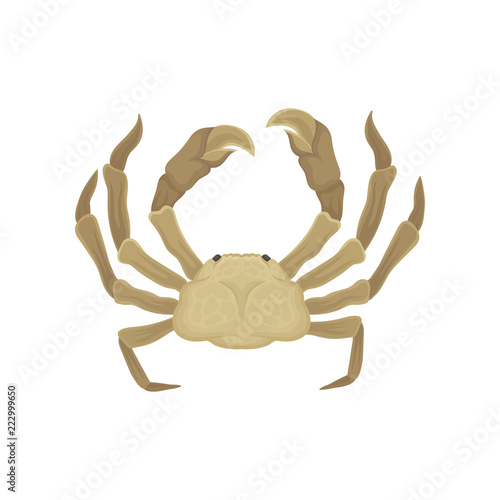 Flat vector icon of crab with big claws. Sea animal. Marine creature. Element for promo poster  cafe or restaurant menu