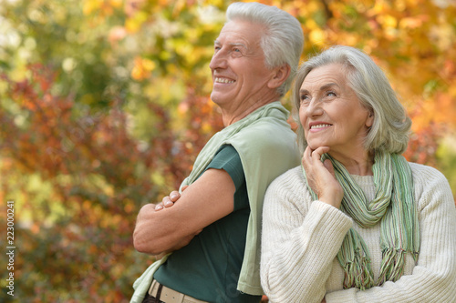 Happy senior couple in autumn park hugging 