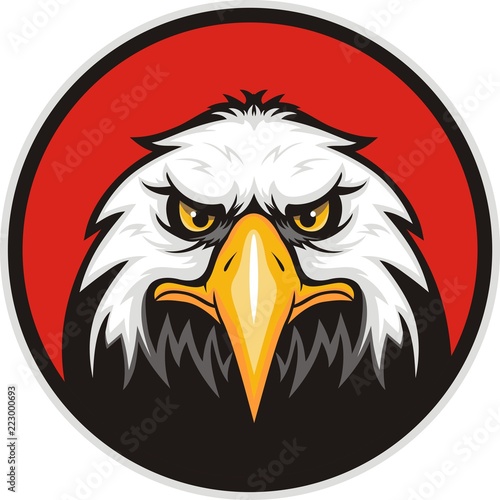 Mascot Head of an Eagle

