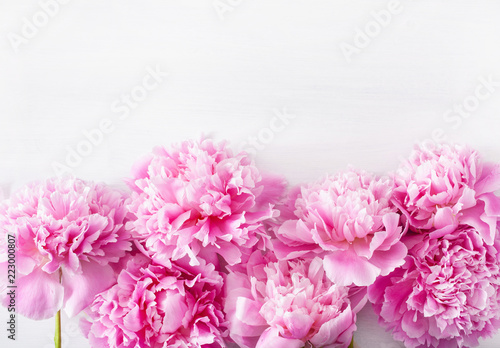 Fototapeta Naklejka Na Ścianę i Meble -  beautiful pink peony flower background