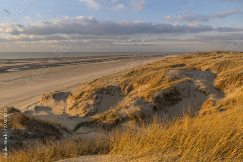 Les dunes du Marquenterre  entre Fort-Mahon et la Baie d Authie.