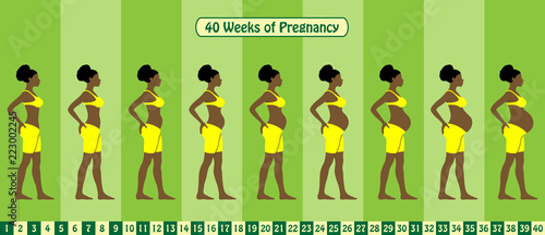 40 Weeks of pregnancy stages with Afro American woman wears bra and short spandex