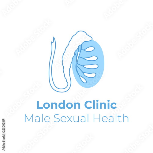 6048355 Male reproductive system. Vector illustration