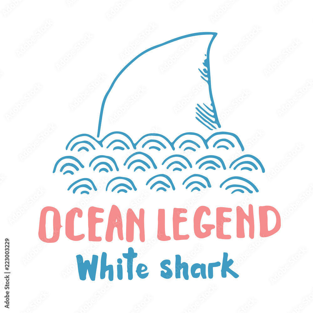 Obraz premium Cute Shark hand drawn sketch, T-shirt print design vector illustration