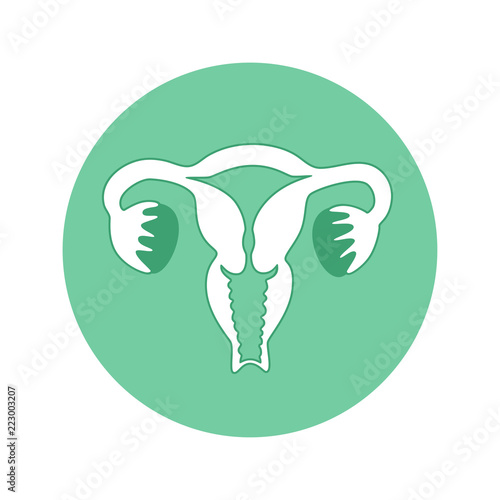 6048368 Vector isolated illustration of uterus