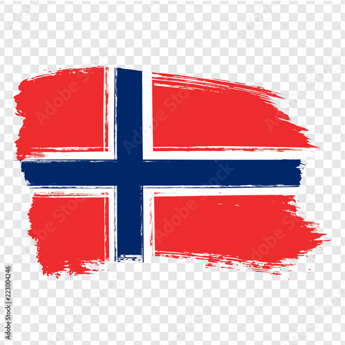 Flag Norway, brush stroke background.  Flag of Norway on transparent background. Stock vector.  Flag for your web site design, logo, app, UI. Vector illustration EPS10.