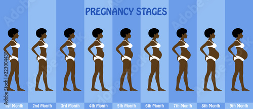 Month by month Pregnancy stages of pregnant afro woman with bikini