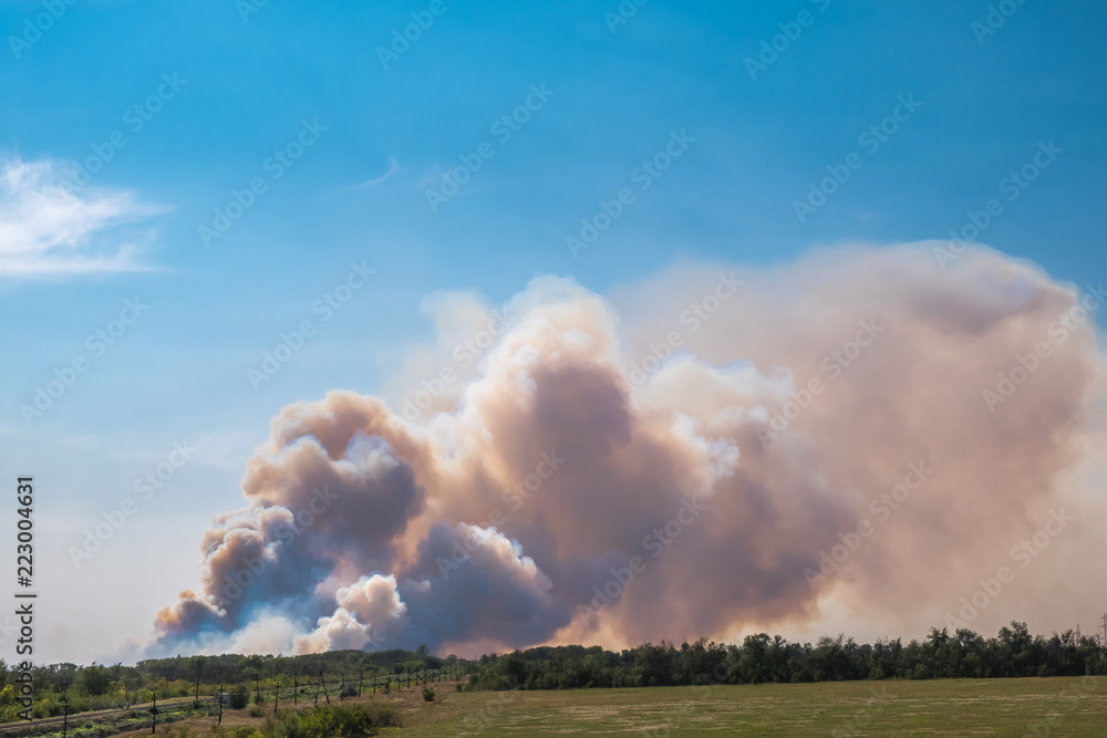 a big cloud of thick smoke rising from the ground to the clear blue sky on a summer day