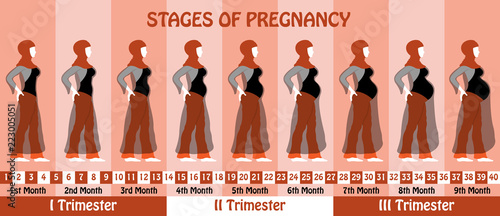 Pregnancy stages of pregnant muslim woman with hijab and transparent long dress