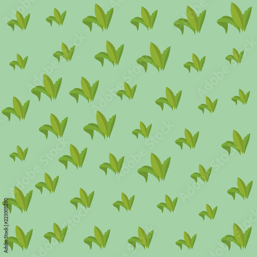 Leaves Pattern background