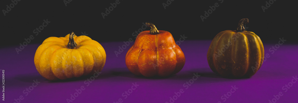 Three orange mini pumpkins in a row for Halloween or fall holiday banner graphic. Three orange mini pumpkins in a row for Halloween or fall holiday banner graphic.