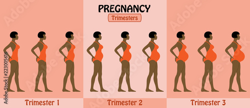 Pregnancy trimesters of pregnant afro woman with swimsuit and short bob hair