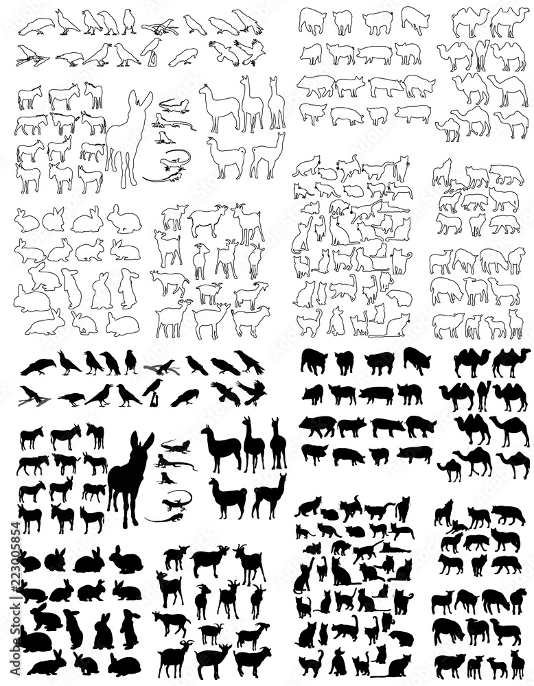 vector, isolated outlines and silhouette of animals, set
