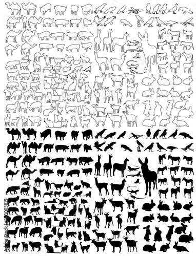 isolated outlines and silhouette of animals  set