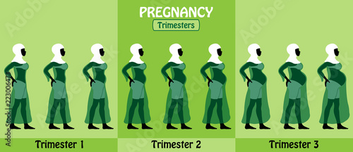 Pregnancy trimesters of pregnant black muslim woman with hijab and transparent dress