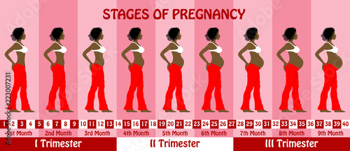 Stages of pregnancy with a pregnant dreadlocks hair black woman wears bra and baggy pants