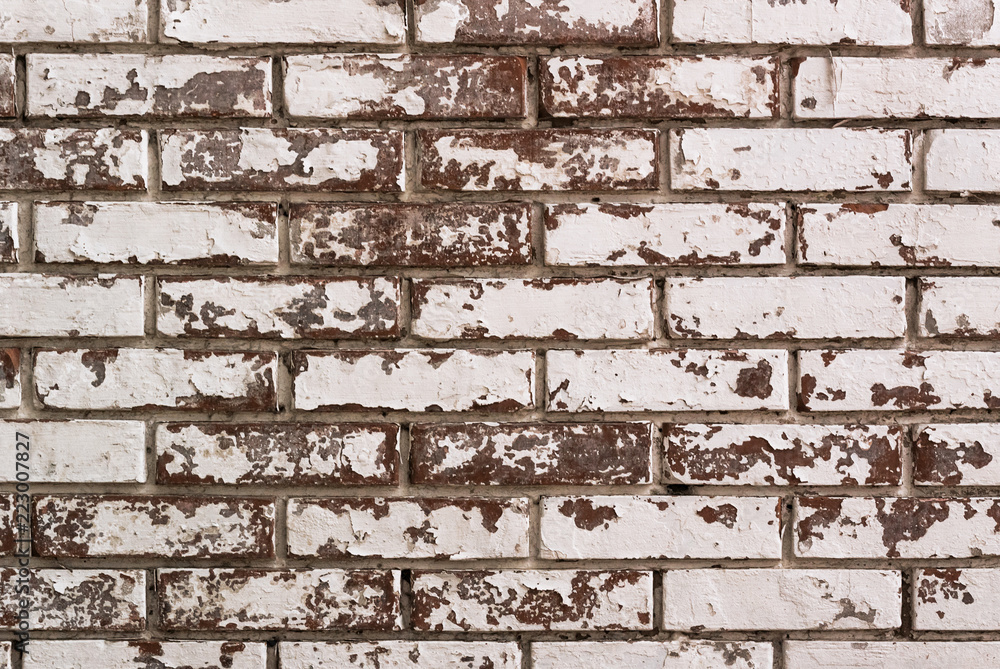 A photo of a brick wall painted in white and having traces of the impact of natural elements and time