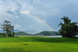 Rainbow in the field in Vietnam
