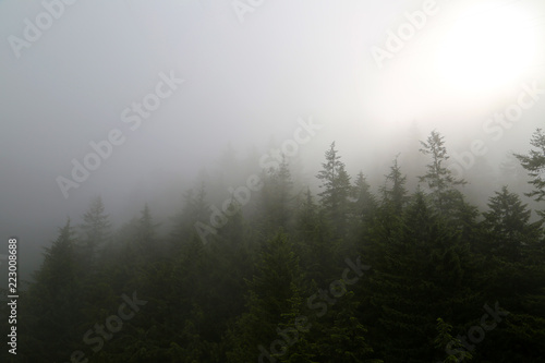 Fototapeta Naklejka Na Ścianę i Meble -  The sun is breaking through the dense fog on a lush mountain landscape