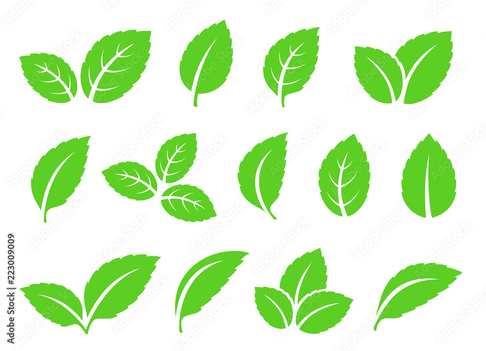hand drawn abstract mint leaves set icons - obrazy, fototapety, plakaty 