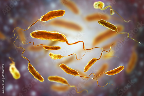 Vibrio cholerae bacteria, 3D illustration. Bacterium which causes cholera disease and is transmitted by contaminated water photo