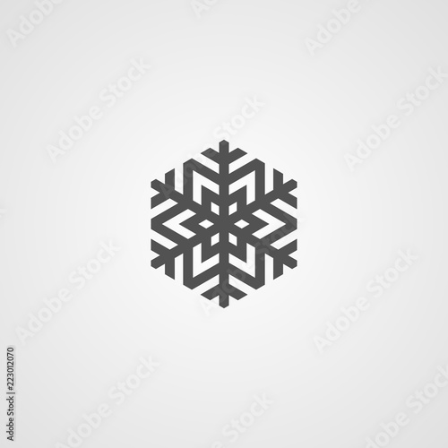 Vector isolated snowflake icon. Logo for your design