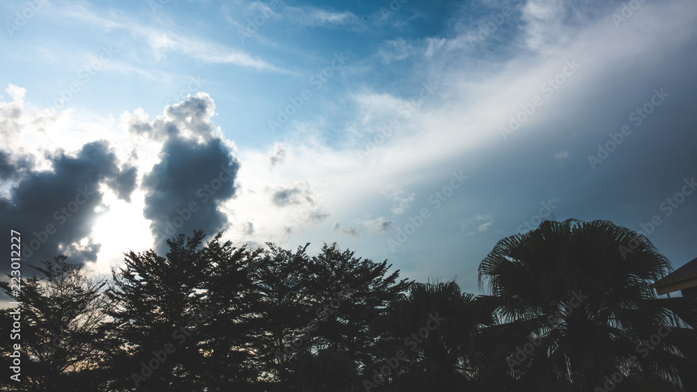 Dark clouds with silhouette tree in blue sky background Dark clouds with silhouette tree in blue sky background