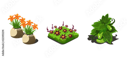 Garden plants, flowers and vegetables, game user interface nature elements for video computer games vector Illustration