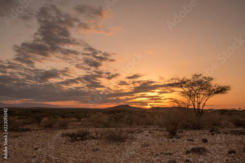 Sunset through the clouds over an arid desert landscape of sand and thorny shrubs, with a single tree in the foreground. Near Marsabit, Kaisut Desert, northern Kenya