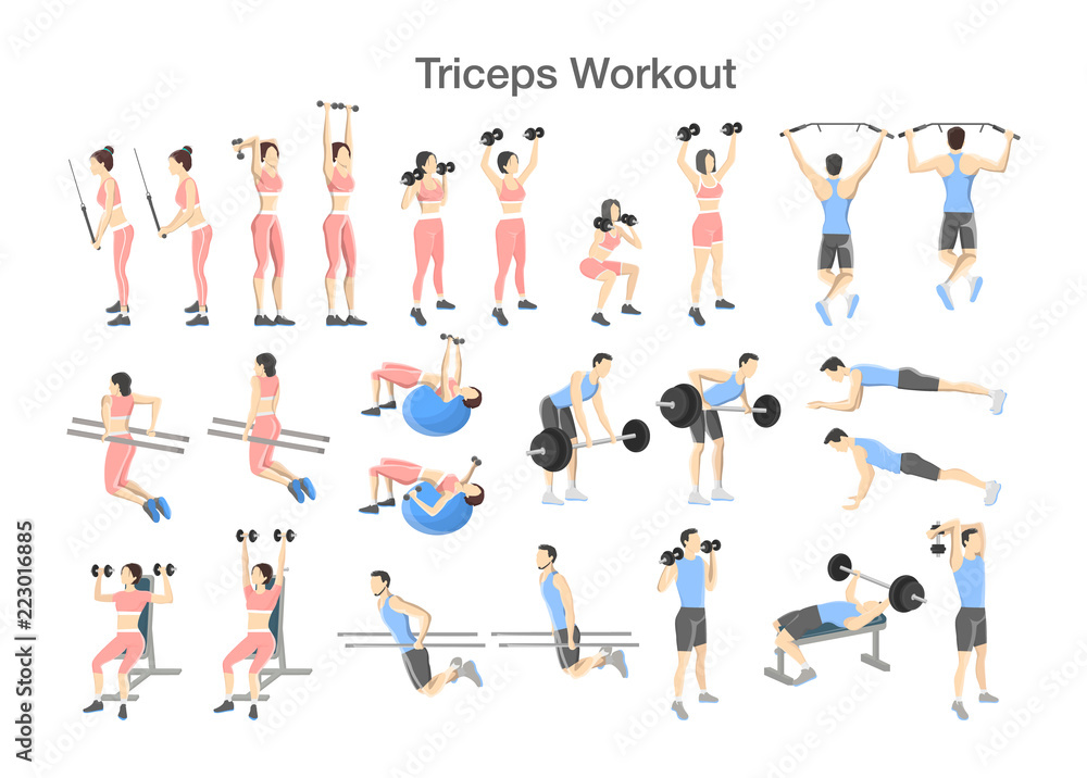 Arm triceps workout set with dumbbell and barbell Stock Vector | Adobe Stock