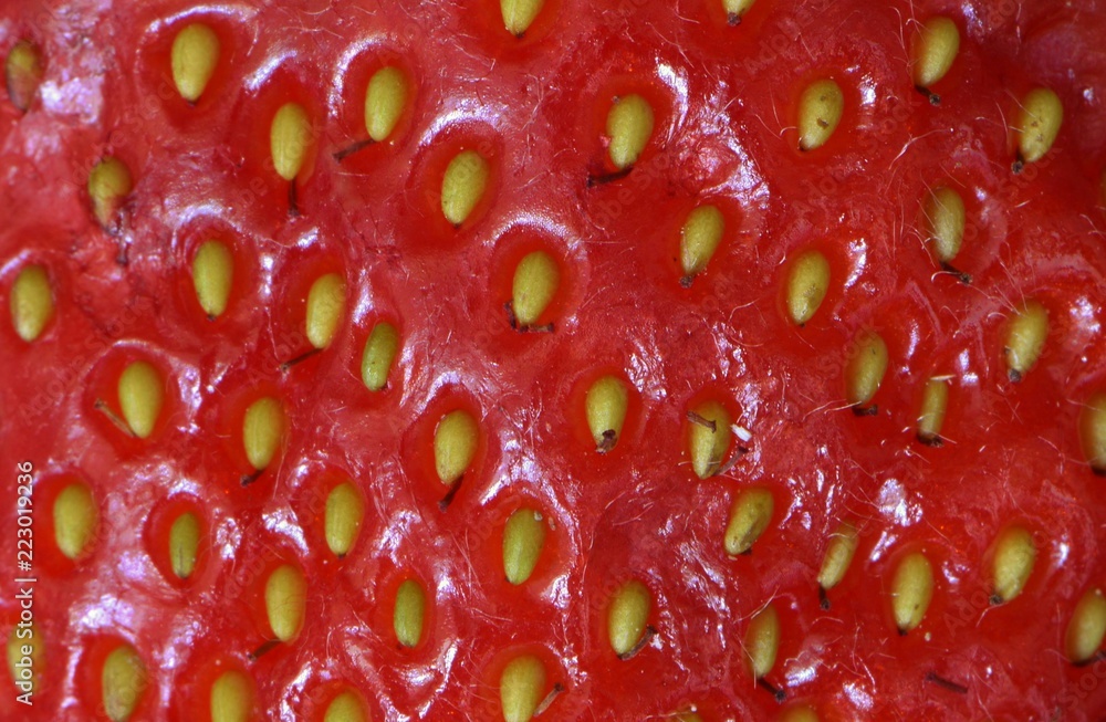 Texture of strawberry seeds Texture of strawberry seeds