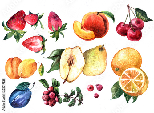 Hand drawn watercolor set of illustration with fruits and berrie