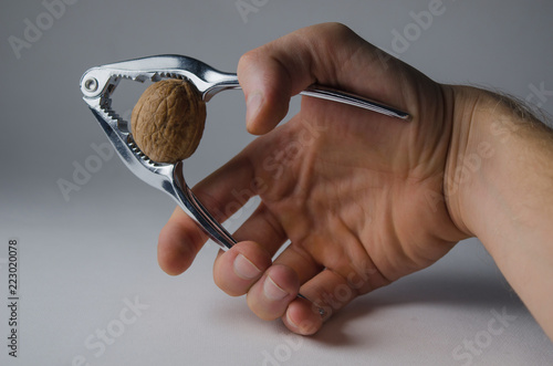 Hand with Nutcracker Smashing a Walnut