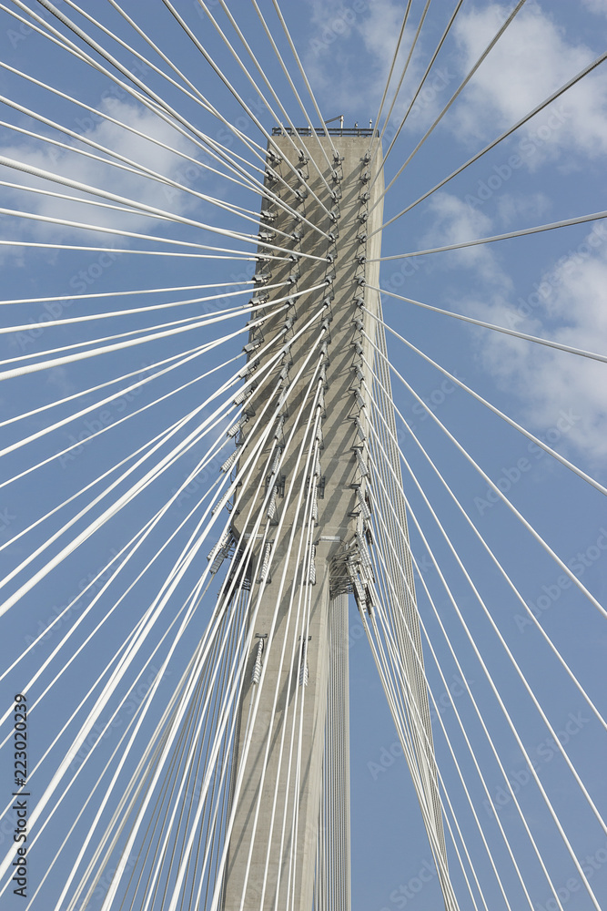 Port Mann Bridge Tower Port Mann Bridge Tower