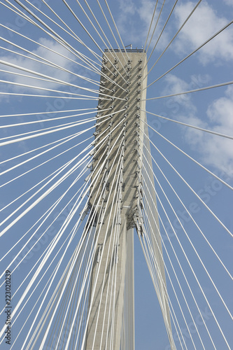 Port Mann Bridge Tower