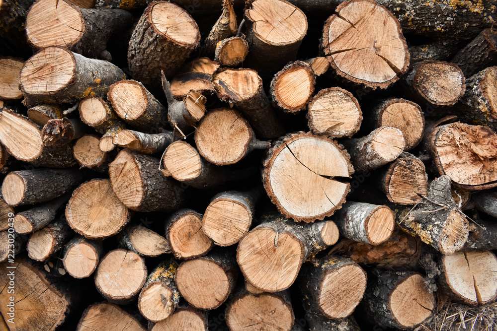 PIECES OF LOGS READY TO BR BURNED AND CREATE A CONTROLLED FIRE IN A HEATER IN ORDER TO HEAT A HOUSE PIECES OF LOGS READY TO BR BURNED AND CREATE A CONTROLLED FIRE IN A HEATER IN ORDER TO HEAT A HOUSE