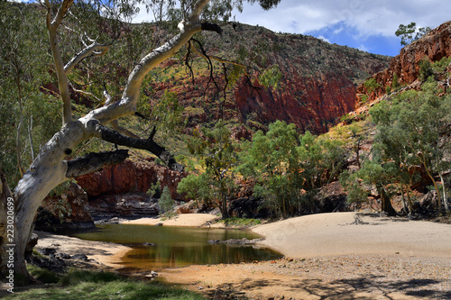 Fototapeta Naklejka Na Ścianę i Meble -  Australia, Northern Territory, Outback