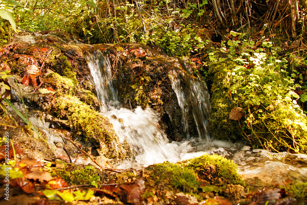 Beautiful small natural waterfall in a rugged forest area.