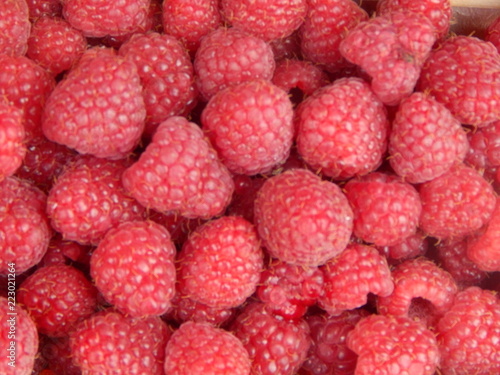 Fresh raspberry closeup
