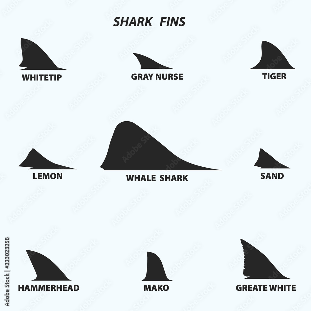 Naklejka premium Rodzaje płetw rekina, czarne ikony na białym tle. Ilustracji wektorowych.